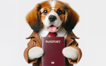 dog-passport